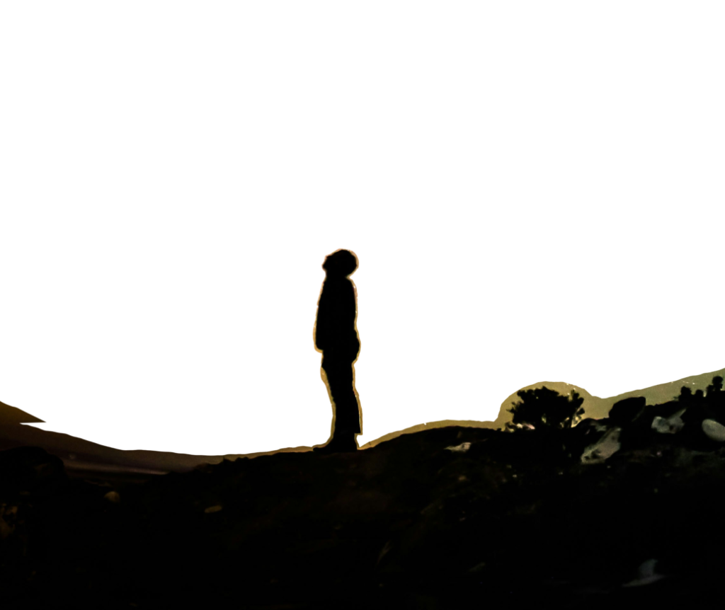 hero image 1 1 scaled